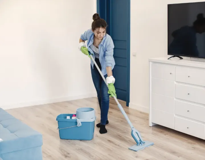 Femme de ménage Paziols